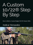 A CUSTOM 10/22® STEP BY STEP by Amilcar Hernández